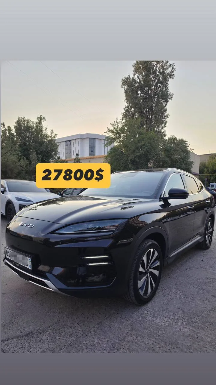 BYD Champion 605 Full 2024