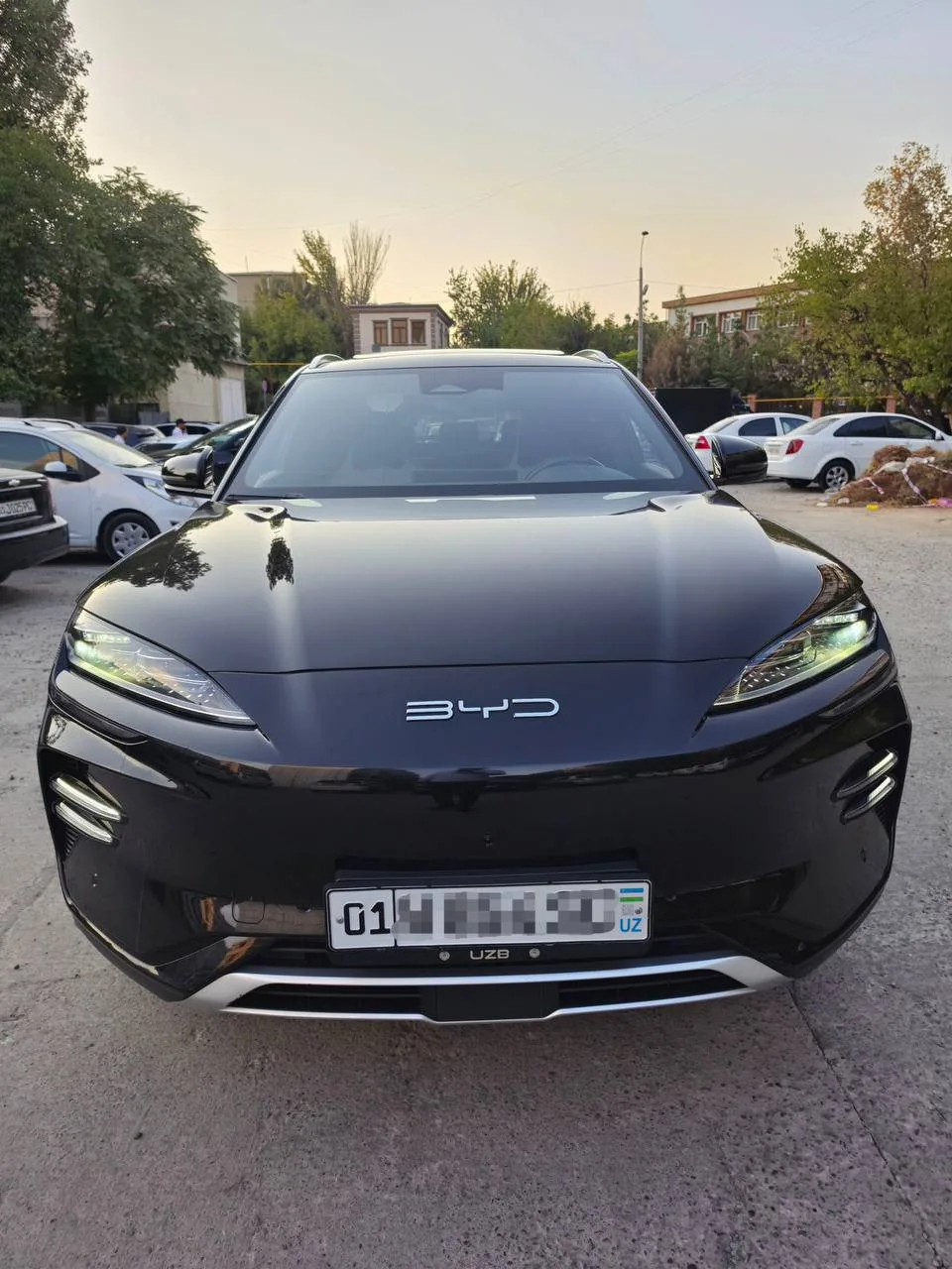 BYD Champion 605 Full 2024