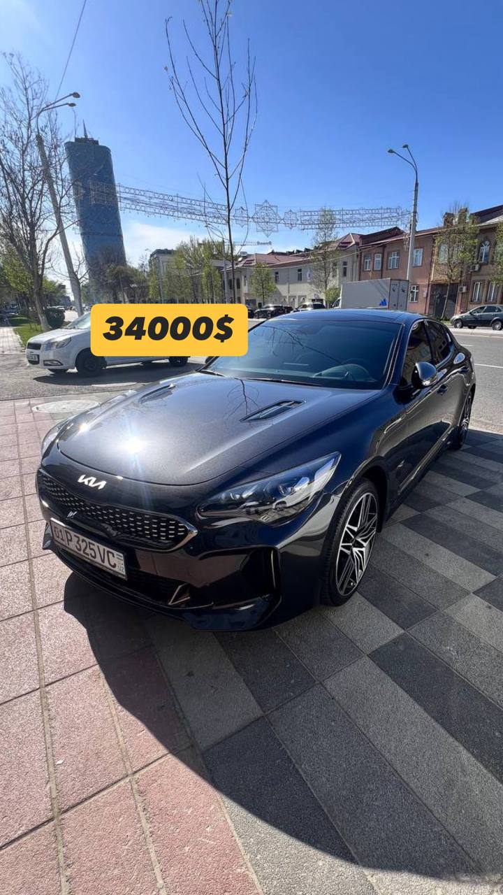 Kia stinger mokriy