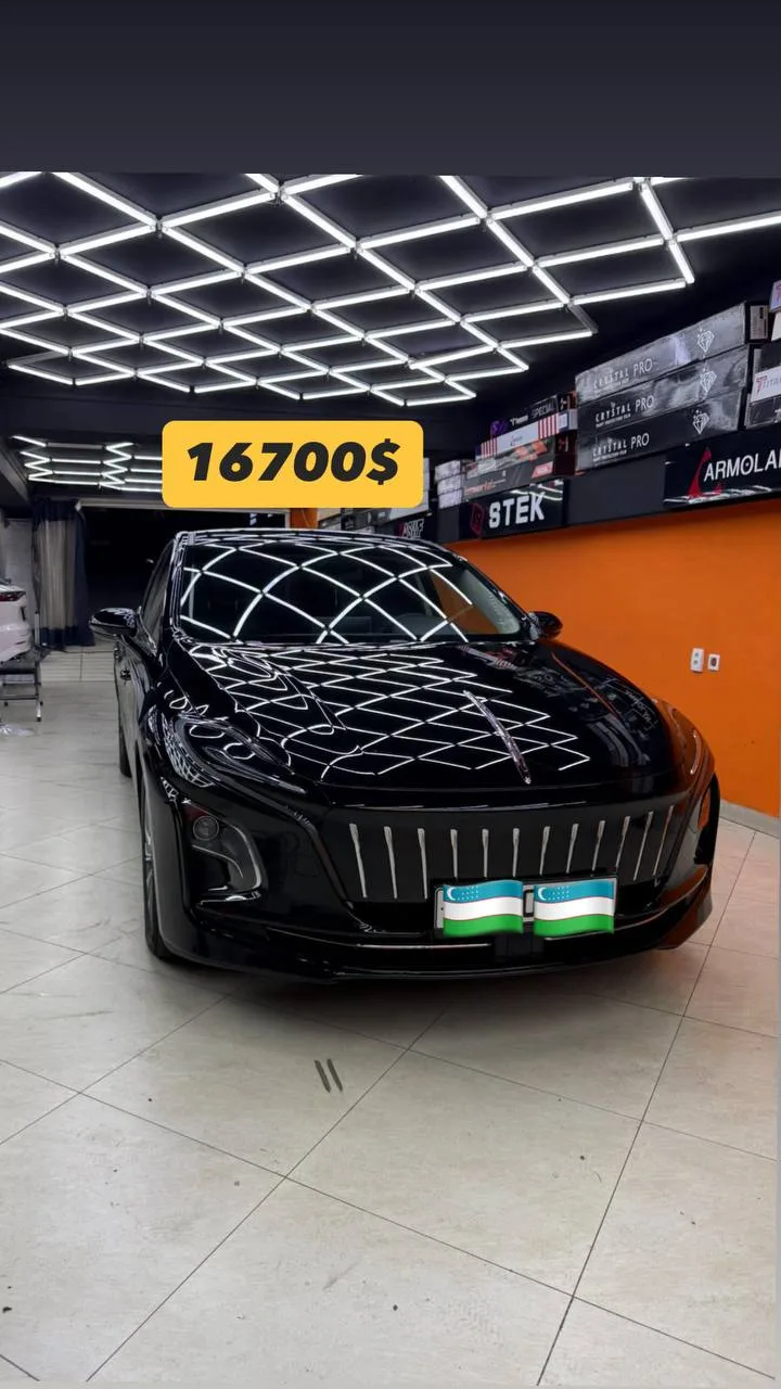 Hongqi eqm5 2024
