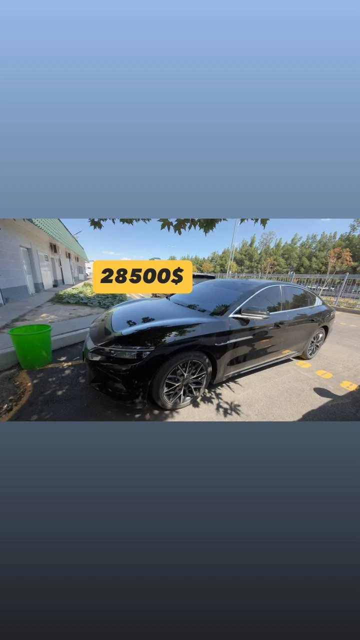 BYD xan 3,9