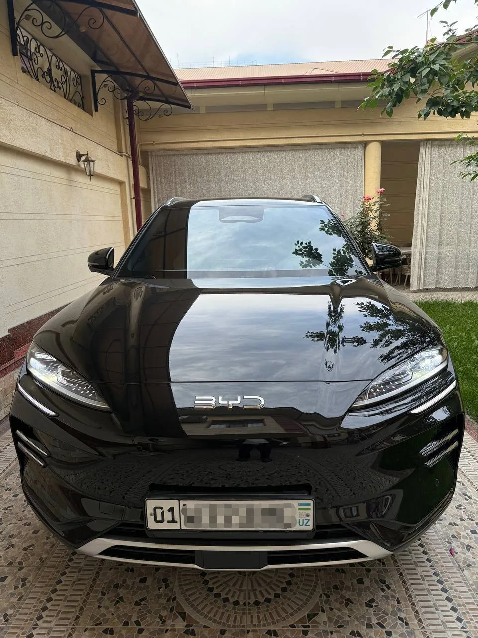 BYD Champion Smart Full 2025