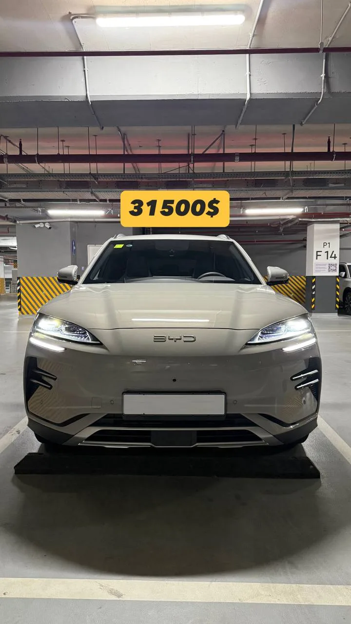Byd champion 605 2025