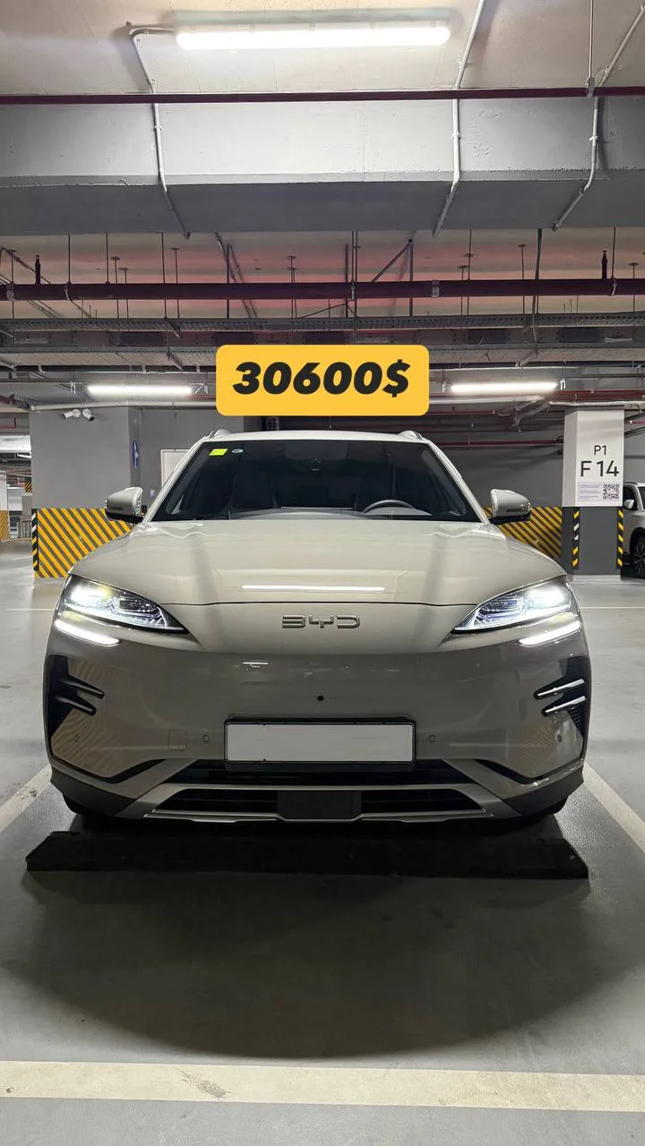 Byd champion 605 2025