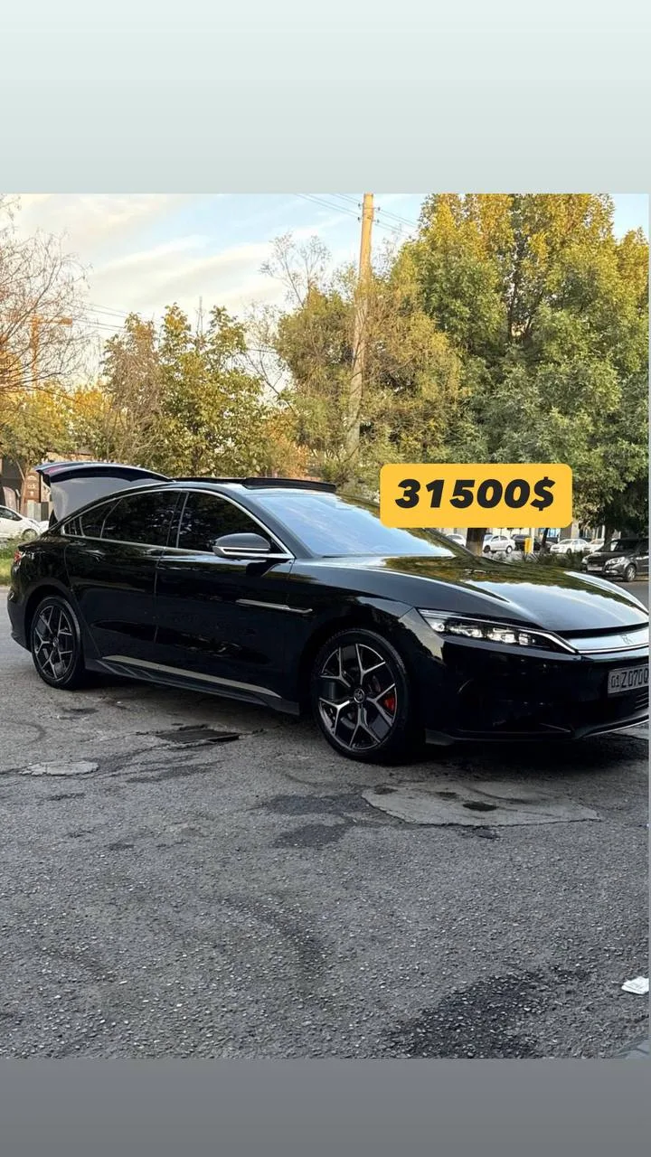 BYD XAN 2024