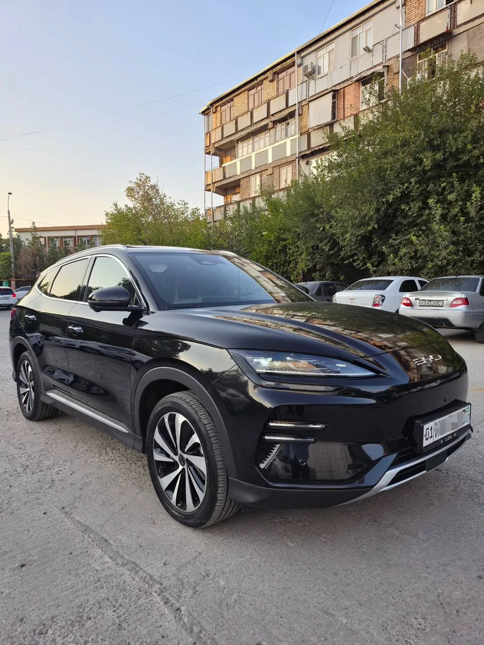 BYD Champion 605 Full 2024