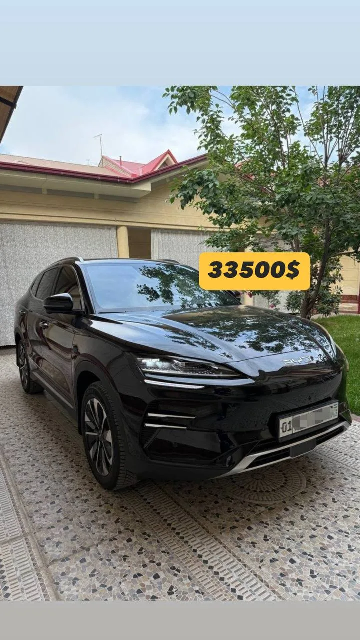 BYD Champion Smart Full 2025