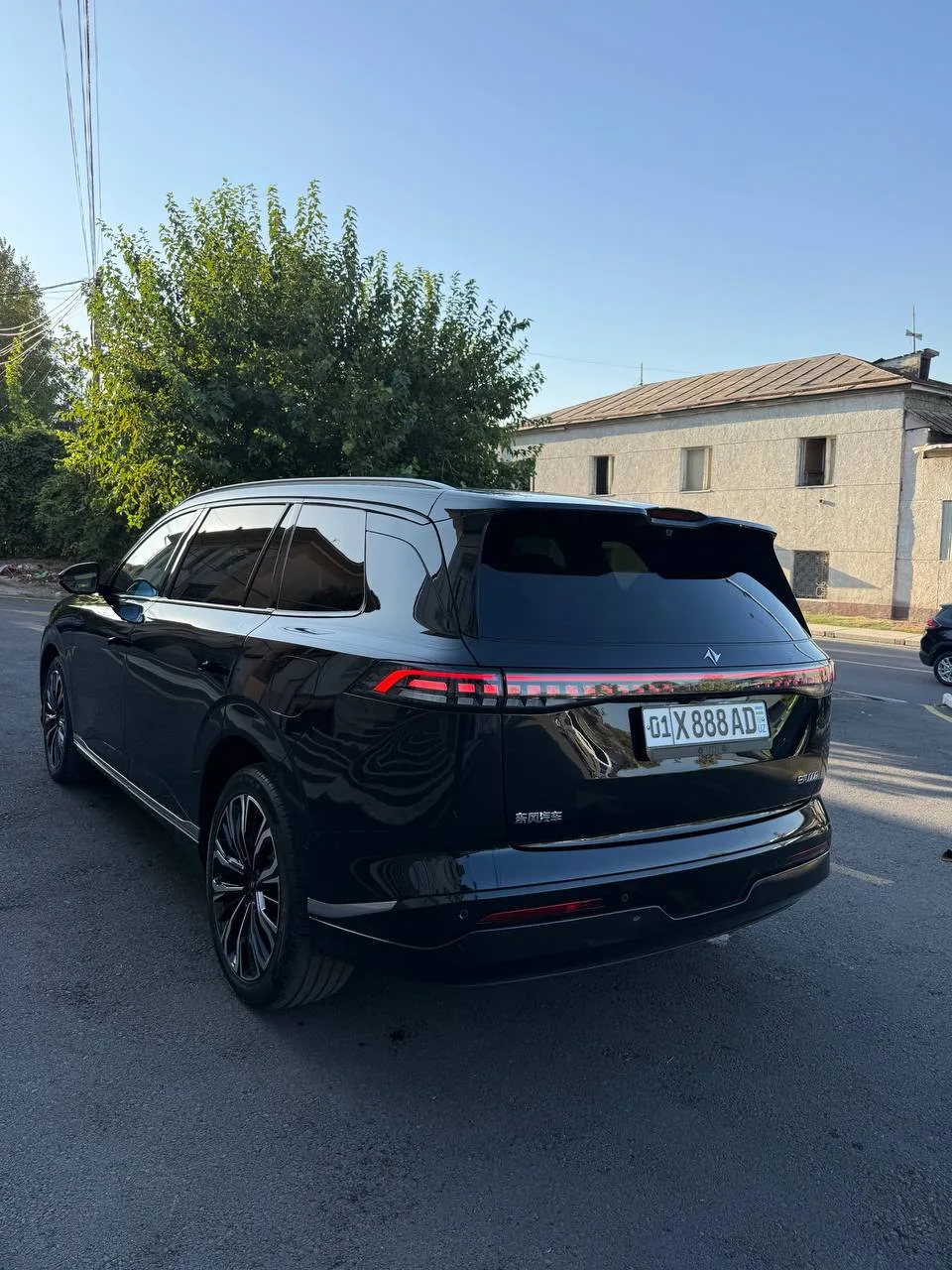 DONGFENG EP 008 2025