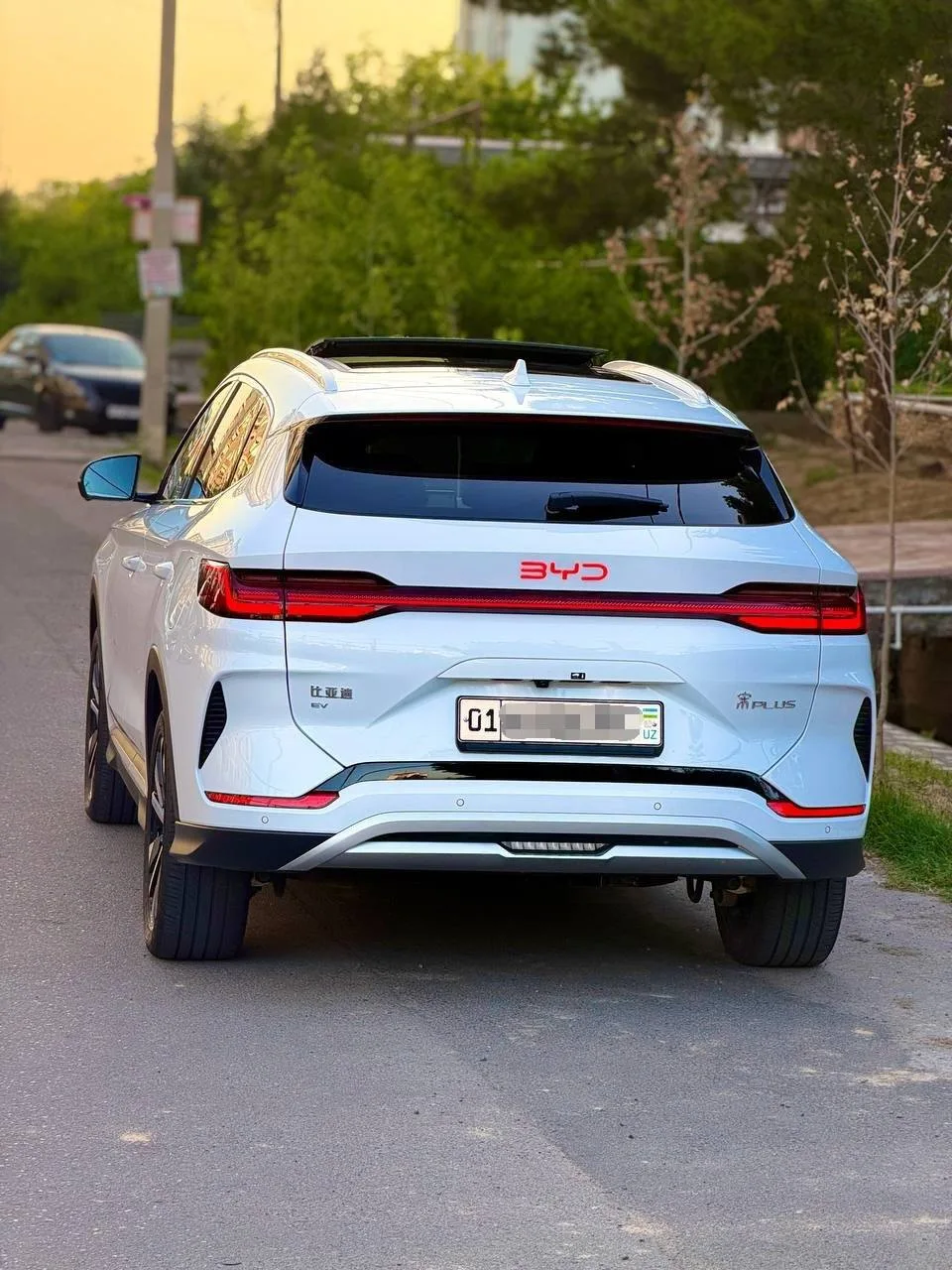 BYD Champion 605 км Рестайлинг 2025