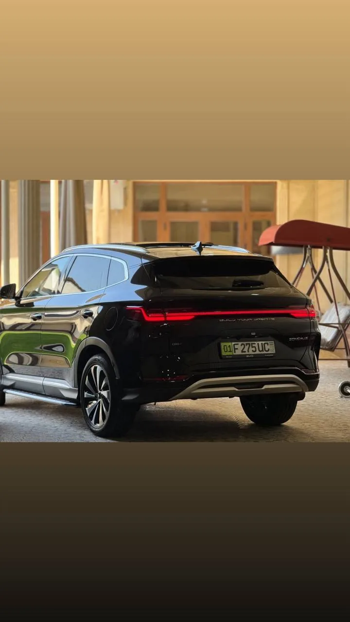 Byd Champion gibrid 2024