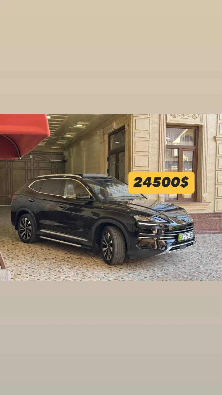 Byd Champion gibrid 2024