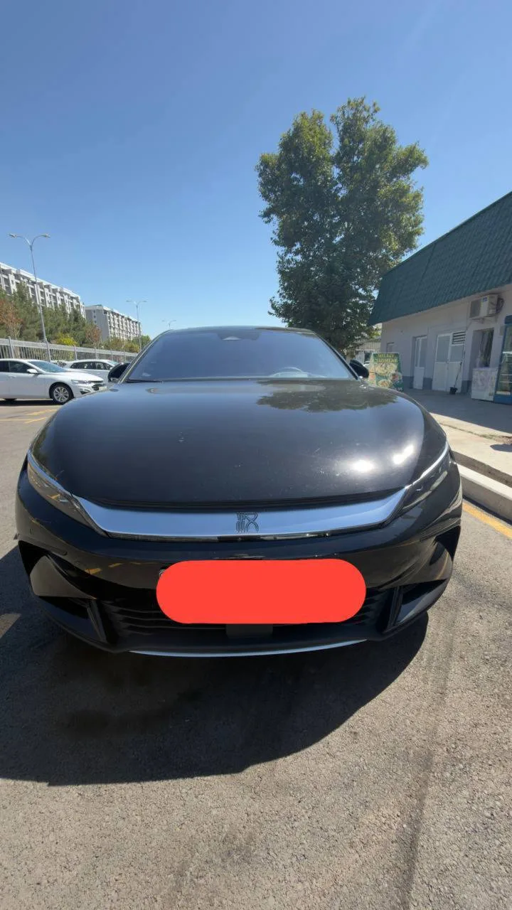 BYD xan 3,9