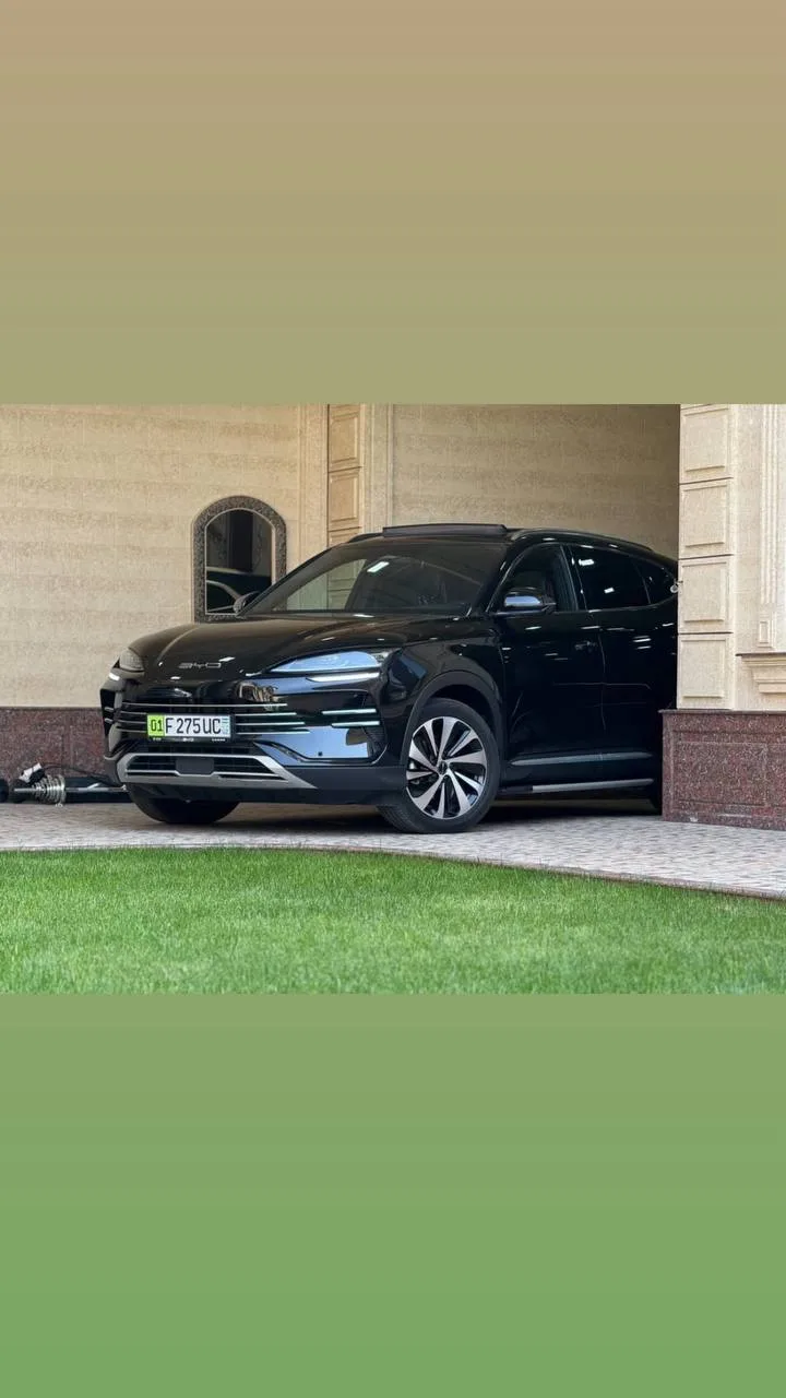 Byd Champion gibrid 2024