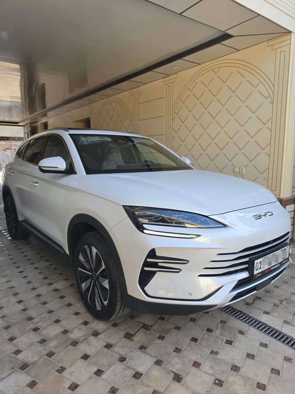 BYD Champion Hybrid 150 km Full 2026