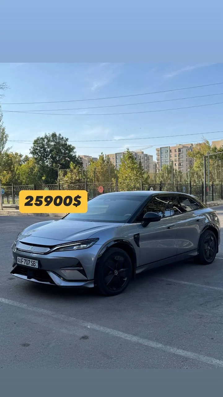 Byd Song L 3-pozitsiya 2024