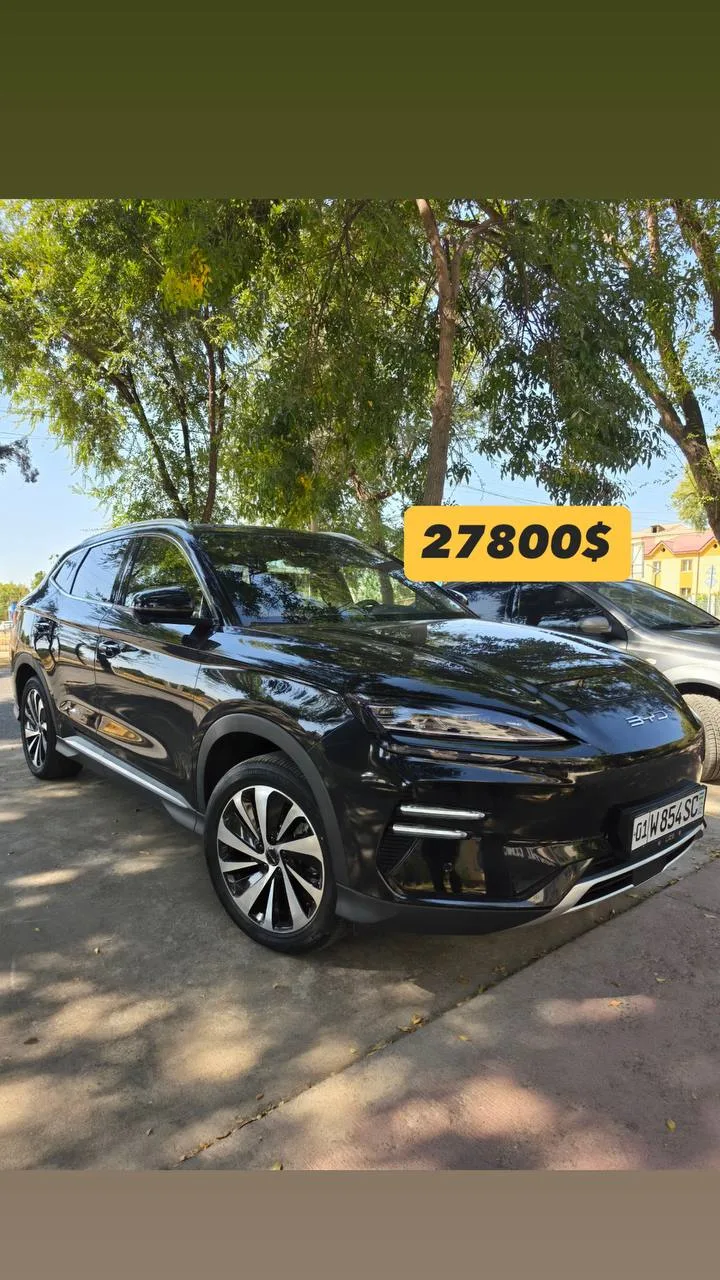 BYD Champion 605 Full 2024