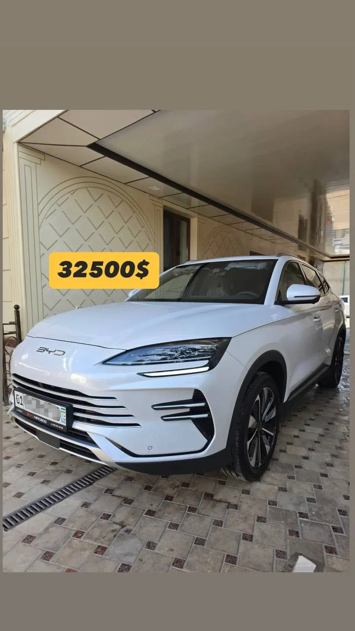 BYD Champion Hybrid 150 km Full 2026